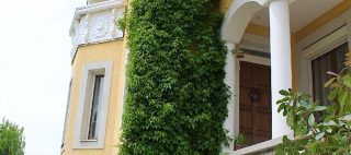 Vadszőlő Vendégház Vonyarcvashegy
