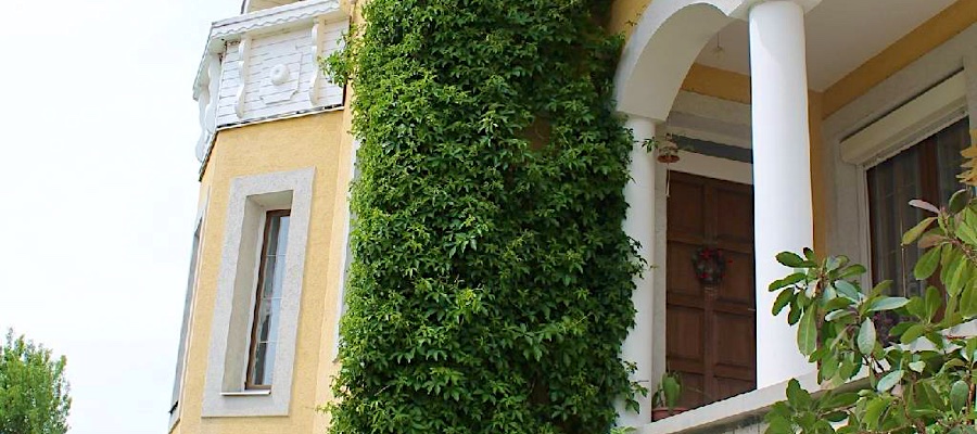 Vadszőlő Vendégház Vonyarcvashegy