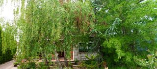 Mara Apartman Vonyarcvashegy