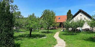 Pista Papa Tanyája Balatongyörök