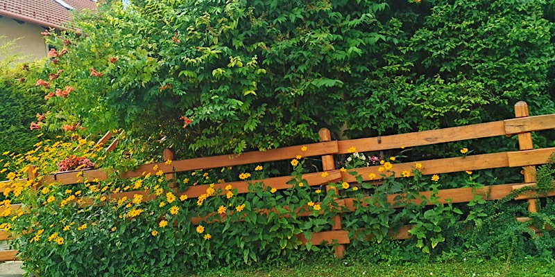 Balatoni Fészek Apartman Balatonalmádi