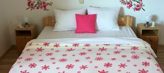 Ezo Apartman Balatonberény