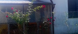Csokonai Apartman Balatonfenyves