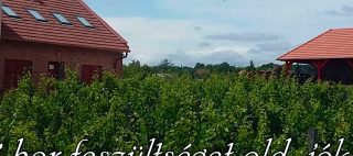 Gelléri Vendégház és Borterasz Felsőörs