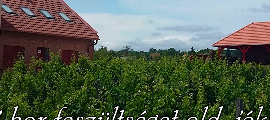 Gelléri Vendégház és Borterasz Felsőörs