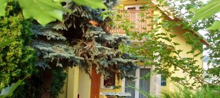 Villa Elisa Vonyarcvashegy