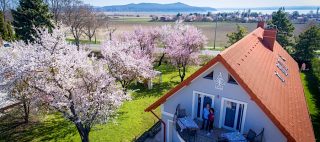 Tulipán Vendégház Örvényes
