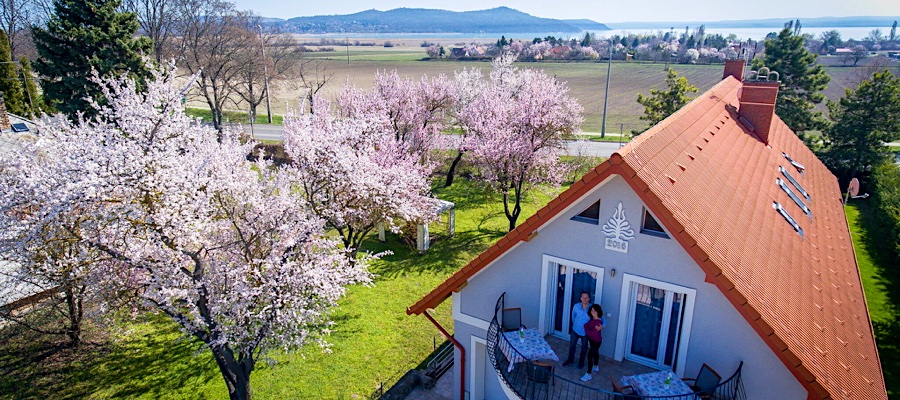 Tulipán Vendégház Örvényes
