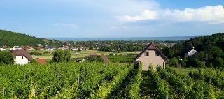 Lekics Pince és Vendégház Balatongyörök