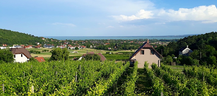 Lekics Pince és Vendégház Balatongyörök