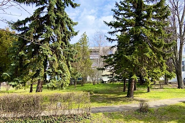 Csillag Apartman Csopak