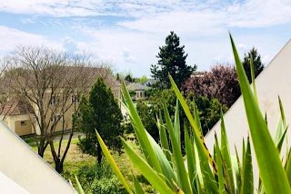 Stay Apartman Balatonboglár