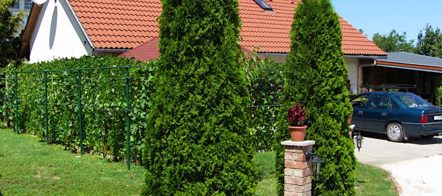 Meni Apartmanház Balatonföldvár
