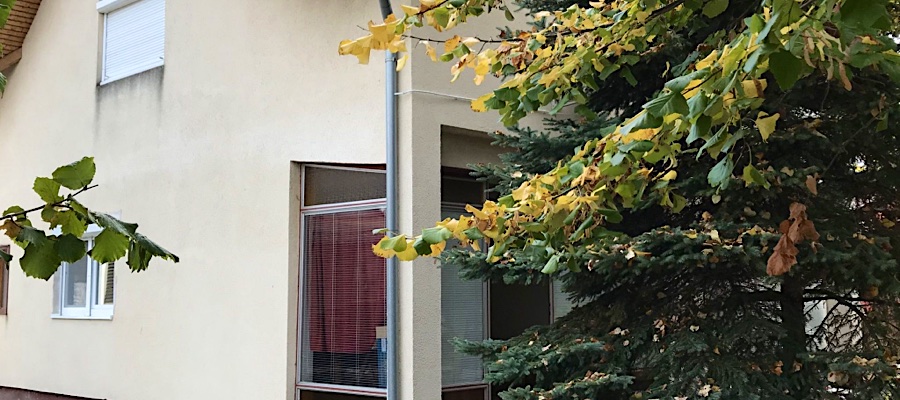 Varga Villa Apartman Zamárdi