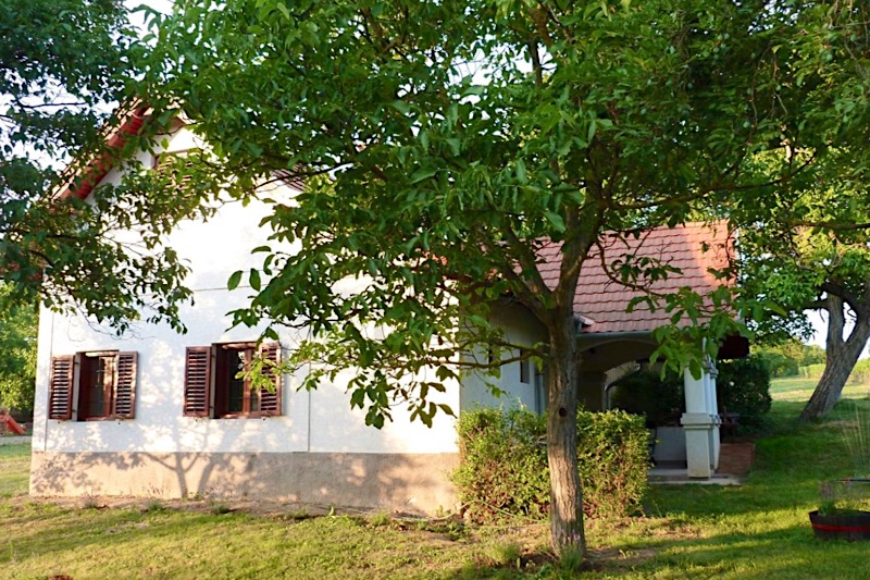 István Pince Vendégház 63956 Zamárdi