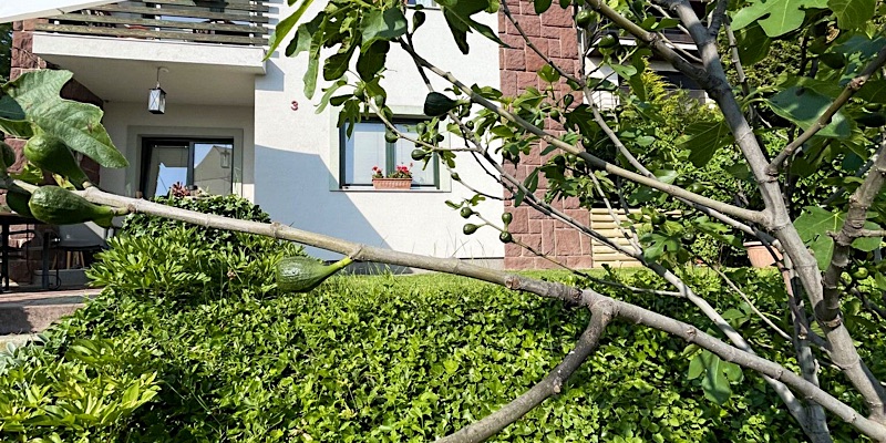 Villa ZöldFüge Balatonfűzfő
