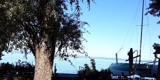 Világosi Part Vendégház Balatonvilágos