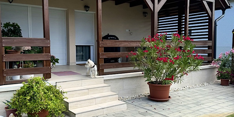 Éva Apartman Balatonfenyves